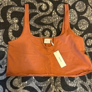 NWT Urban Outfitters Terracotta Crop Tee - size l